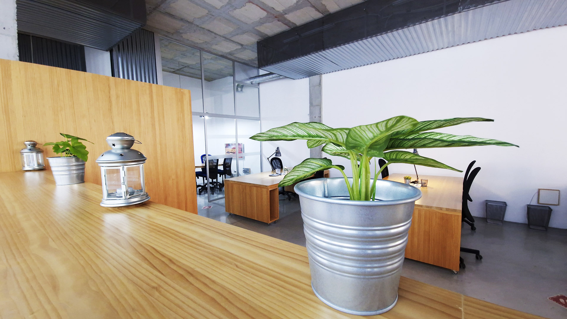 Presentamos nuestra candidatura a los primeros 'Premios ODS' del Marbella Social Hub